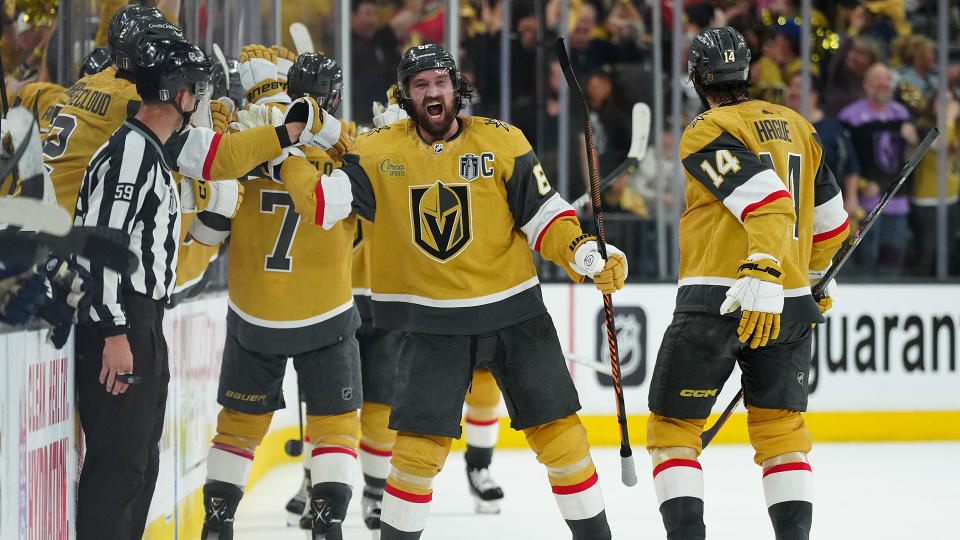 Stejnou misi mají i hráči Vegas Golden Knights